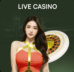 辽宁铁人主场出现无人机导致比赛延迟开球，被中足联通报批评